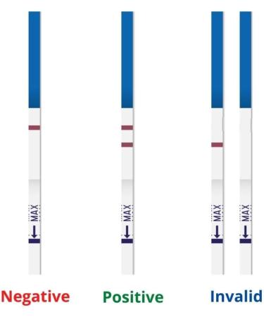20X Early Test Ultra Sensitive Pregnancy Test Strips - 10mIU - Individually Sealed - Buy Online on GoSupps.com