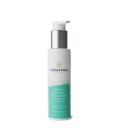 BE SOULFULL Facial Cleanser - Exfoliating Daily Face Wash for Glowing Skin 100ml / 3.4 Fl Oz - Hydrate & Improve Skin Texture - Buy Online on GoSupps.com