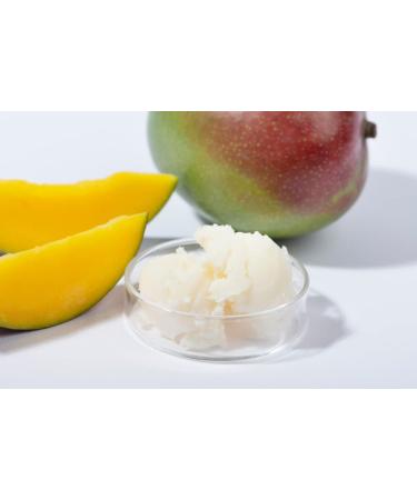 Buy Buck Naked Unscented Organic Body Butter - 24 Hour Hydrating Moisturizer | Hypoallergenic & All-Natural | Made in USA by DAYSPA Body Basics - Buy Online on GoSupps.com
