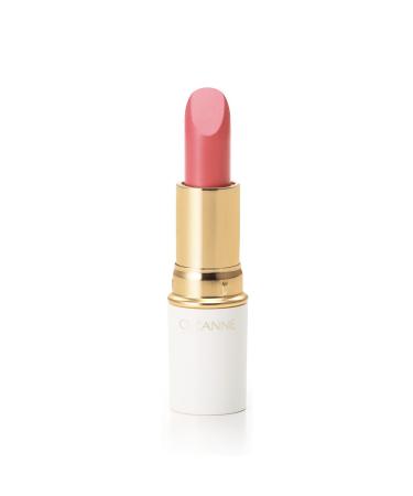 Cezanne Cezanne Lasting Lip Colour N 207