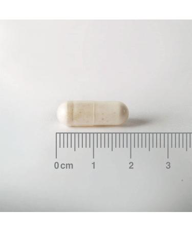 Buy Acidophilus Extra 10 (60 Caps) - Probiotic for Digestive Health | International Shipping Available - Buy Online on GoSupps.com