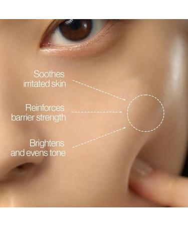 DAM.D - Mochi Luminous Plumping & Hydrating Moisturizer - Deeply Hydrating Plumping & Radiance-Boosting Face Cream - Vegan Lightweight Clean Formula (50 g) - Buy Online on GoSupps.com