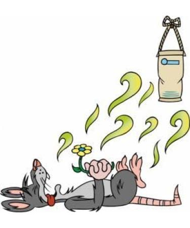 Earth Care Odor Removing Bag Stinky Smells Pet odor etc (1 Pack) 1 count (Pack of 1) - Buy Online on GoSupps.com