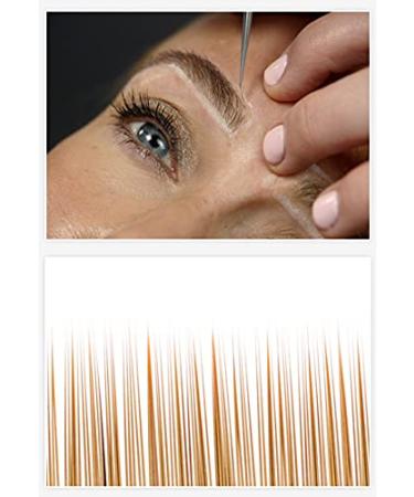 Eyebrow Styling Kit - Straight Blonde Eyebrow Extensions & Reconstruction | 3 Lengths for Perfect Brows - Buy Online on GoSupps.com
