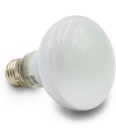 Terra Exotica 100W Heat Spot 3 Pack - Ideal Reptile Terrarium Lighting & Heat Lamps - 25W to 150W Options Available - Buy Online on GoSupps.com