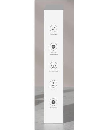 Buy Sonic Electric Toothbrush with 5 Cleaning Modes & Screen Display - Optimal Dental Care for Men & Women - Includes 4 Replacement Heads - Buy Online on GoSupps.com