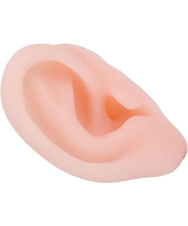 Silicone Earmold Ear Picking Practice Tools 1:1 Restoration Educational Tools Clear - Buy Online on GoSupps.com