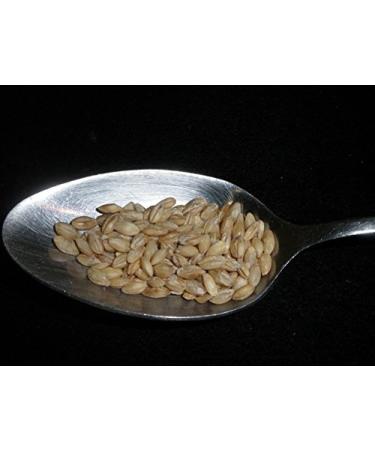 USDA Certified Organic Pearl Barley - 5 lbs | Non-GMO Bulk | Product of USA - Buy Online on GoSupps.com