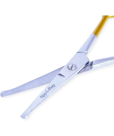 Rounded Tip Nose Hair Scissors for Facial, Ear, and Eyebrow Trimming - Gold - Buy Online on GoSupps.com
