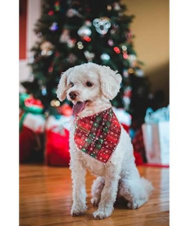 Lionheart Glory Dog Haller Washable Cotton Christmas Neckerchief for Small Dogs - Adjustable Green & Red Check Neck Towel (1 Pack) - Buy Online on GoSupps.com
