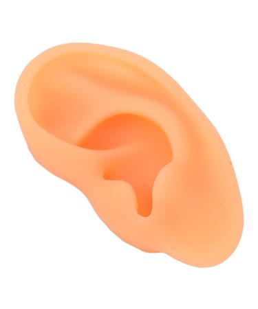 Professional Right Ear Display Mould for Hearing Aid Earrings - Silicone Simulation Model - Buy Online on GoSupps.com