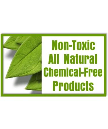 Orange Cross Lice Removal Mint Shampoo - Natural DIY Lice Prevention for Kids & Adults (8 Oz) - Buy Online on GoSupps.com