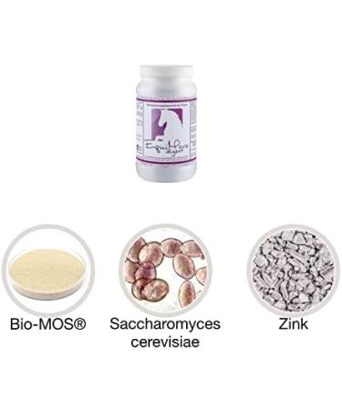 Equimove Digest 1.5 kg | Digestive Support & Kotwasser Relief | Prebiotics & Probiotics | Optimal Supplement for Horses - Buy Online on GoSupps.com