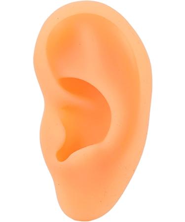 Silicone Ear Display Mould - Lifelike Educational Model for Hospital (Right Ear) - Buy Online on GoSupps.com