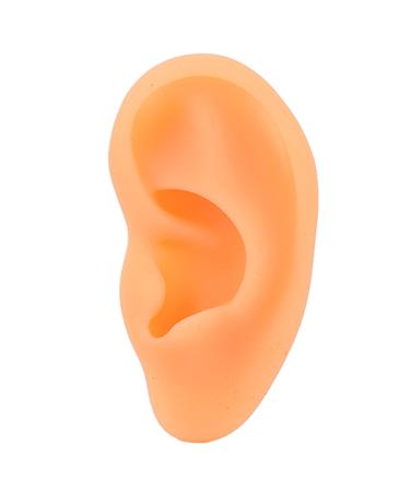 Ear Model Simulation Soft Silicone Professional Ear Display Mould for Hearing Aid Earrings(Right)