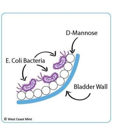 D-Mannose Tablets (60ct) - Non-GMO | Natural UTI Support - Buy Online on GoSupps.com