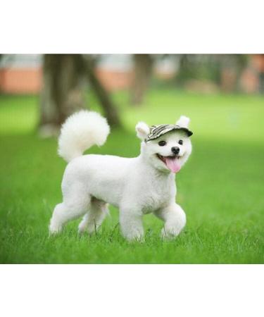 Bbeart Pet Hat Orange Leisure Visor & Baseball Cap for Small Dogs with Ear Holes & Chin Straps (Size M) - Perfect Sun Hat for Sports - Buy Online on GoSupps.com