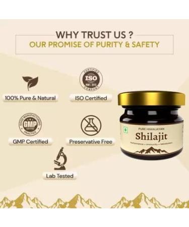 Resin Shilajit for Energy Focus and Vitality - Pure Quality Himalayans Shilajit | Strength | Stamina | Power | 100% Pure and Natural | 20gm | for Men & Women - Buy Online on GoSupps.com