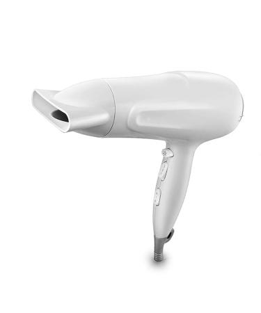 Hair Dryer 2200W Ionic Professional Blow Dryer with Air Nozzle 2 Speed 3 Heat Settings and Cool Shot Button Powerful AC Motor Fast Drying for Men and Women Home and Salon Small Gift