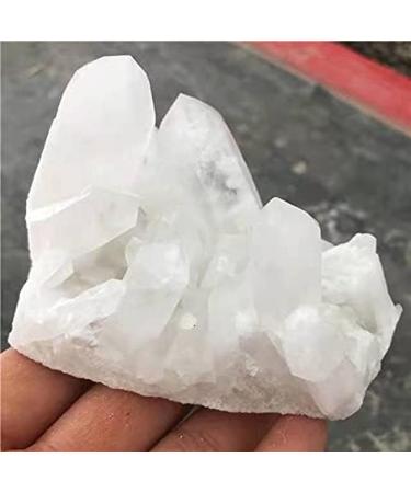 1pc Quartz Natural White Minerals Specimen Crystals Cluster for Stones 500-650g - Buy Online on GoSupps.com