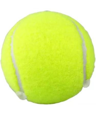 ACCURATE Durable Sport Play Tennis Cricket Dog Toy Ball with Mesh Carrying Bag Sturdy & Durable Great For Lessons Practice Throwing Machines Adults Children Exercise Pets 3 PK - Buy Online on GoSupps.com