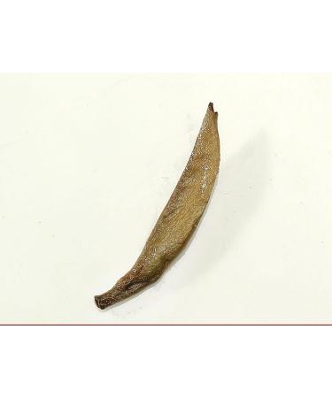 Aiguille d'argent Th blanc naturel Feuilles mobiles Th Elizabeth Arden Bai Hao Yin Zhen (250g) - Buy Online on GoSupps.com