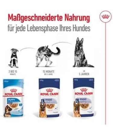 ROYAL CANIN Maxi Adult | Double Pack | 2 x 10 x 140 g | Complete Food for Dogs | for Large Adult Dogs (26 to 44 kg) | From 15 Months to 5 Years - Buy Online on GoSupps.com