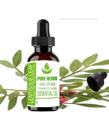 Pure Herbs Lentisque Leaf (Pistacia Lentiscus) essential oils 100 ml