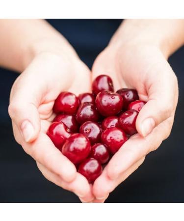 Fisherman s Friend Sugar Free Cherry | For Temporary Relief of Cough Sore Throat & Nasal Congestion | No Sugar | Halal Vegan Kosher & Gluten Free | 8 Packs of 22 Lozenges (176 Total Count) - Buy Online on GoSupps.com