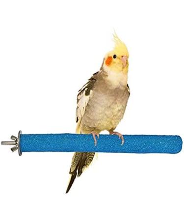 PINVNBY Stainless Steel Bird Feeding Dish Cups with Clamp Holder - 5 Pack | Parrot Food Water Dish Perch Stand Platform Paw Grinding Toy Feeder Cage Bowl for Budgies Parakeet Macaw & Small Animals - Buy Online on GoSupps.com