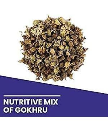 NACHT Gokhru Powder 100Gram - Buy Online on GoSupps.com