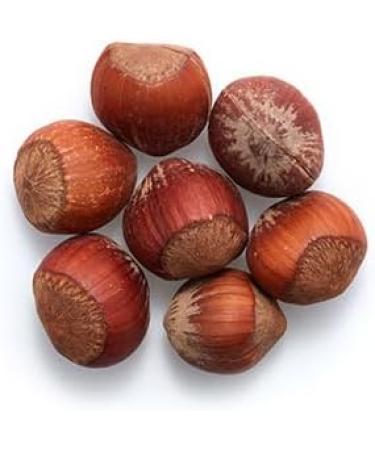 Yupik Hazelnuts In Shell (filberts) 1kg 6 Count Hazelnuts 6 kg - Buy Online on GoSupps.com