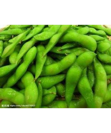Trasporto Libero 1 Confezioni 20 di Edamame Semi soia Semi di soia Verde Verdura C032