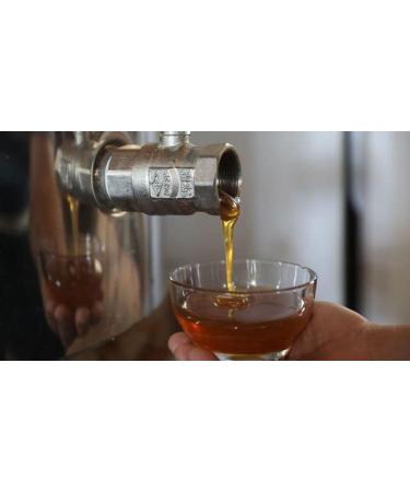 Miel de jujubier royal du Y men pot de 175 g un miel Rare et unique - 100% Naturel - Buy Online on GoSupps.com