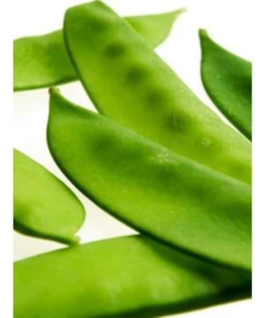 50 + Organic Oregon Giant Neve Peas Aperto Semi impollinazione ENORME! - Buy Online on GoSupps.com