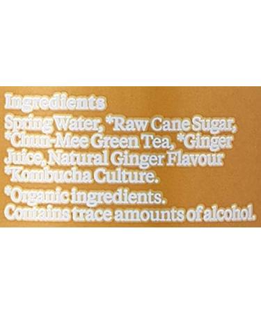 Equinox Kombucha Organic Ginger Fizzy Drink - 250ml Can - Buy Online on GoSupps.com