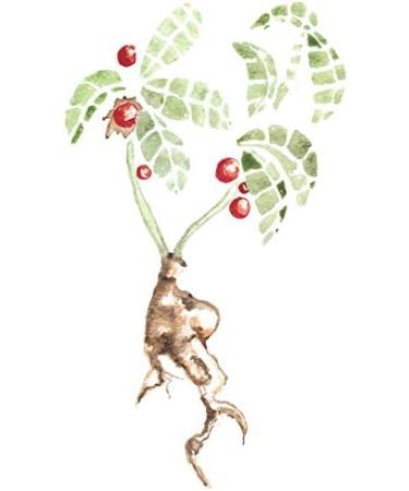 Maui Medicinal Herbs Ashwagandha Plus Ginger 90 Veggie Capsules - 400mg per Capsule Hawaiian(Organic Herbal Formula) - Buy Online on GoSupps.com