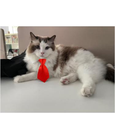 4 Pieces Pets Dog Cat Bowtie Pet Costume Adjustable Formal Necktie Collar for Cats Small Dogs Puppy Grooming Accessories (Black/red) - Buy Online on GoSupps.com