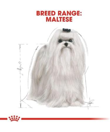 Royal Canin Maltese Adult Dog Food 0.5 kg - Buy Online on GoSupps.com