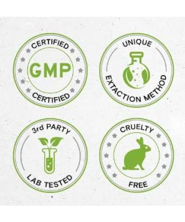 White Willow Tincture Alcohol-Free Extract - 4 FL OZ - Secrets of the Tribe - Buy Online on GoSupps.com