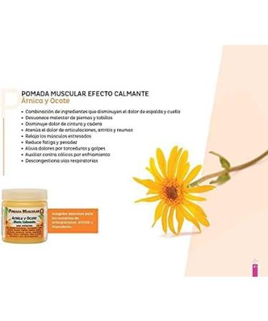 Arnica & Ocote Muscle Ointment 140g | Calming Relief for Pain | Florigan - Buy Internationally - Buy Online on GoSupps.com