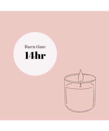 Buy Grapefruit Mojito Travel Candle with Matches | Perfect for Gifts & Relaxation - International Shipping Available - Buy Online on GoSupps.com