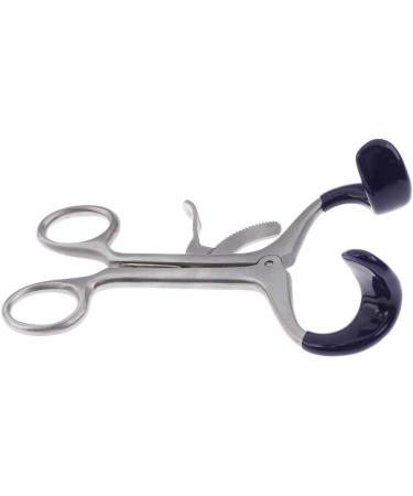 11.9 cm Silver Tooth Enrollment | International Shipping Available - Buy Now - Buy Online on GoSupps.com