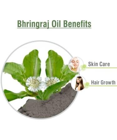 Bhringraj Oil 100% Pure & Natural - Cold Pressed Therapeutic Grade for Hair & Skin - 30 ML by Salvia - Buy Online on GoSupps.com