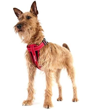 EZYDOG Classic Chest Plate Harness | Small Black Dog Harness with Reflective Stitching - No Pull and Breathable - Buy Online on GoSupps.com