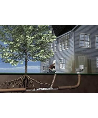 ROOTX - 4LB. JAR WITH FUNNEL/APPLICATOR Foaming root control for sewer lines and septic systems - Buy Online on GoSupps.com