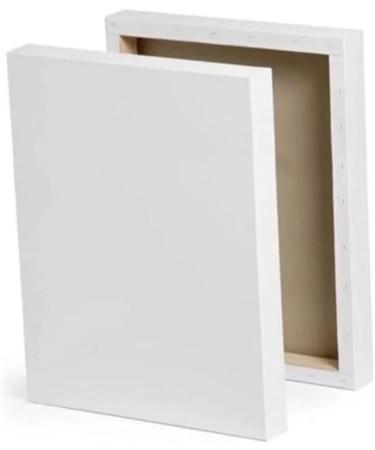 Pelvic Floor Physical Therapist Poster | Women's Health | Prolapse & Therapy Art | Canvas & Prints for eCommerce - Buy Online on GoSupps.com