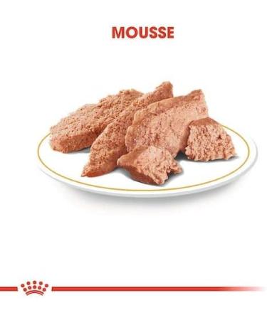 Royal Canin Poodle Adult | Double Pack | 2 x 12 x 85 g | Wet food for adult poodles | To support the coat | Optimal daily nutrition | From the 10th month of life - Buy Online on GoSupps.com