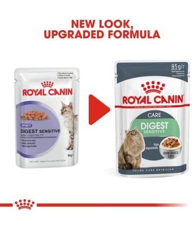Royal Canin Digestive Care in Gravy Adult Wet Cat Food 85g (Pack of 12) Chicken 1.02 kg (Pack of 1) - Buy Online on GoSupps.com