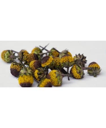 50pcs / Dried Edible "Peek A Boo" Buzz Buttons "Dried" Flowers